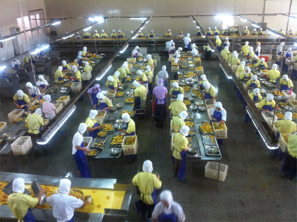 20130723141952753.jpg 20130723141952753.jpg