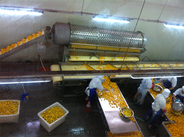 20130723142003358.jpg 20130723142003358.jpg